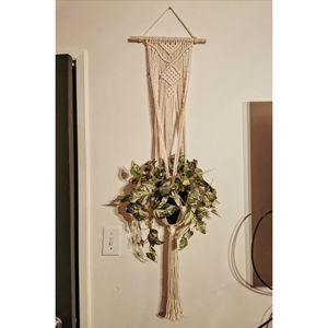Macrame plant hanger